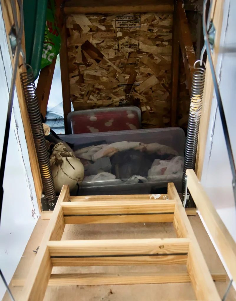 climbing the extension ladder into the attic 2023 11 27 05 14 53 utc